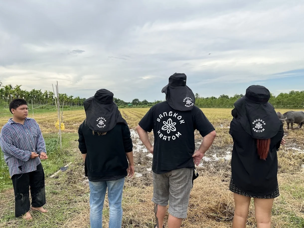 Guests in a kratom field