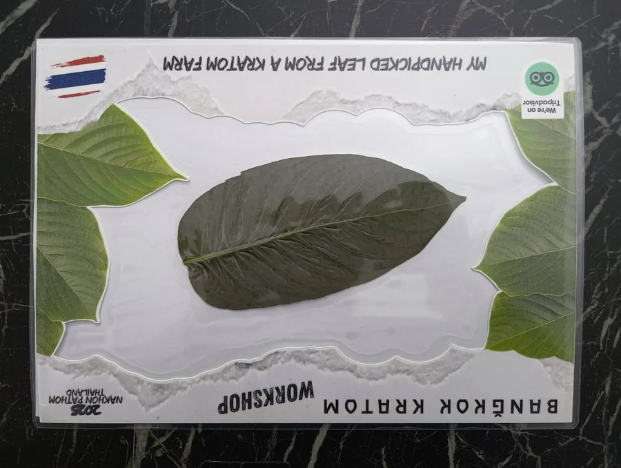 Hand-picked laminated kratom leaf
